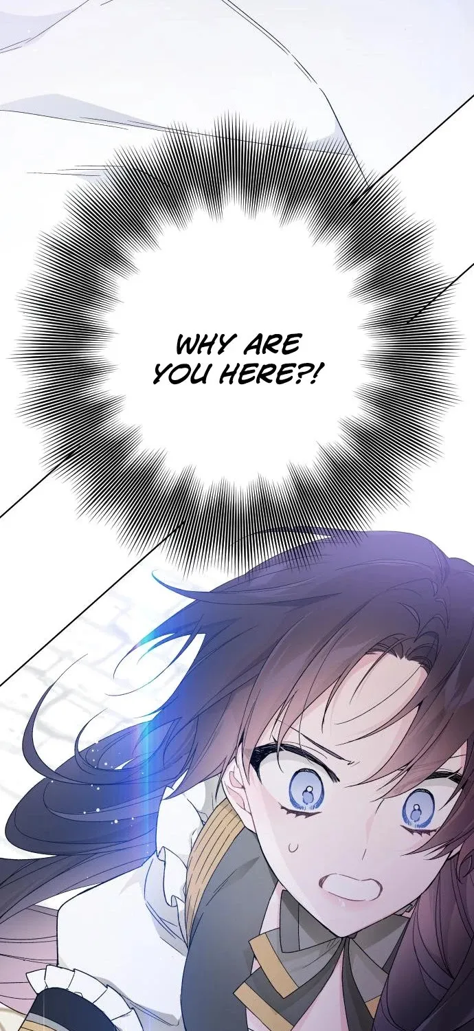 Chapter 17 — page 73
