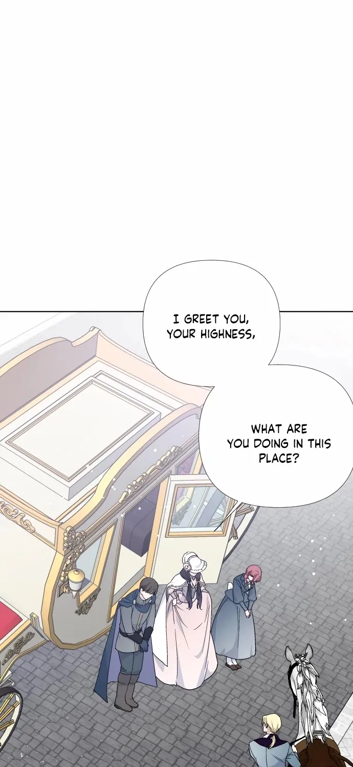 Chapter 21 — page 49