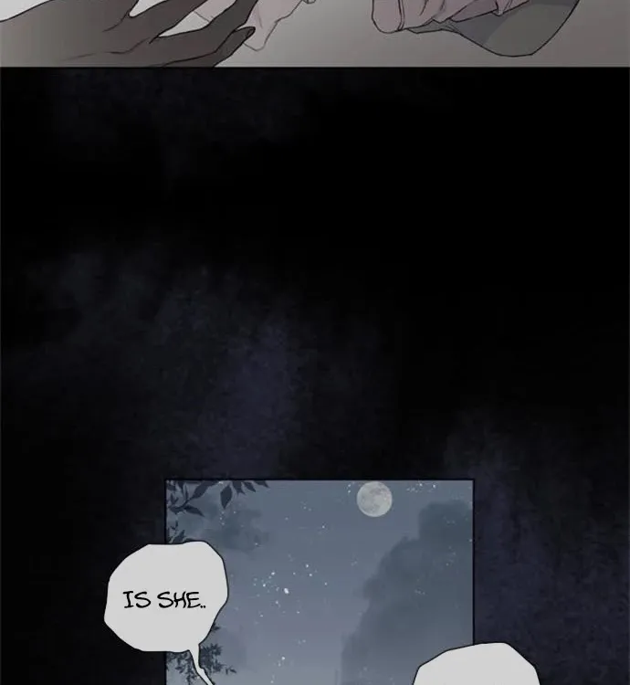 Chapter 7 — page 50