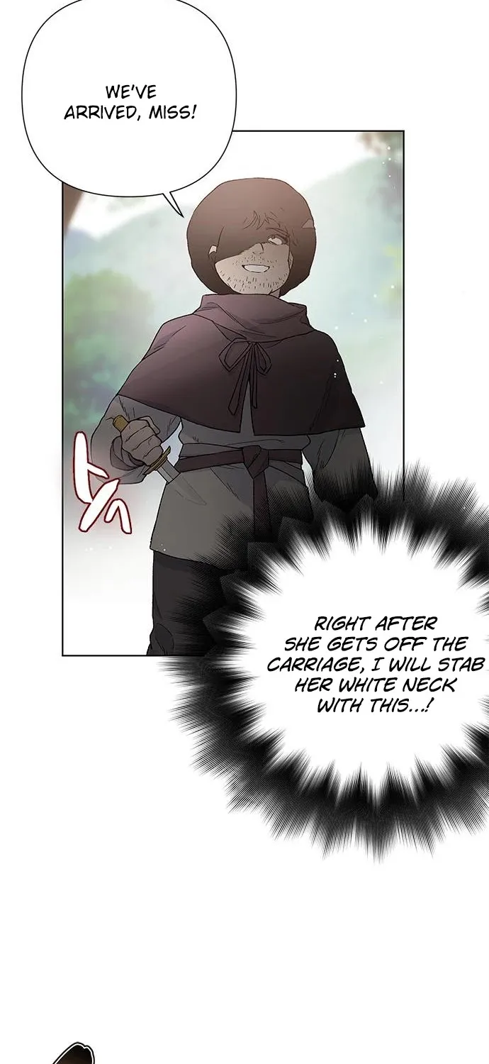 Chapter 8 — page 63