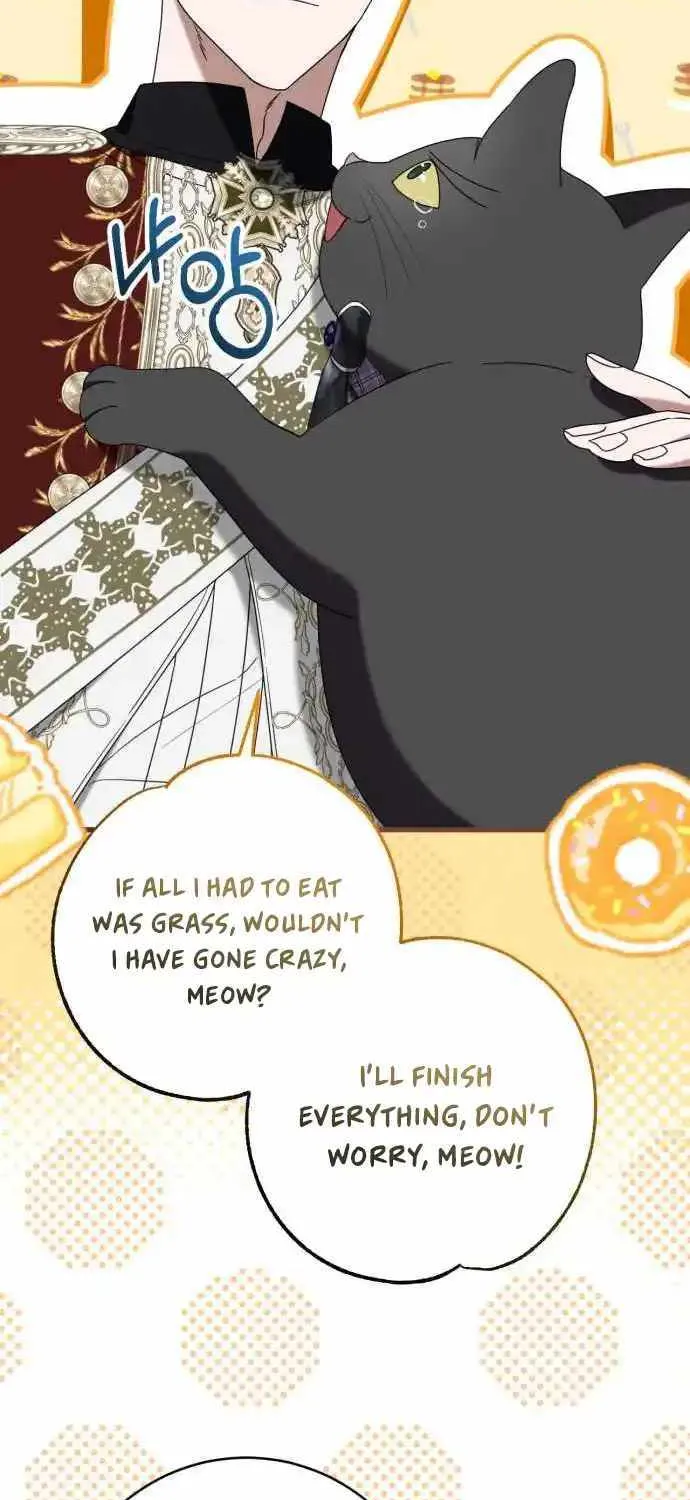 Chapter 7 — page 56