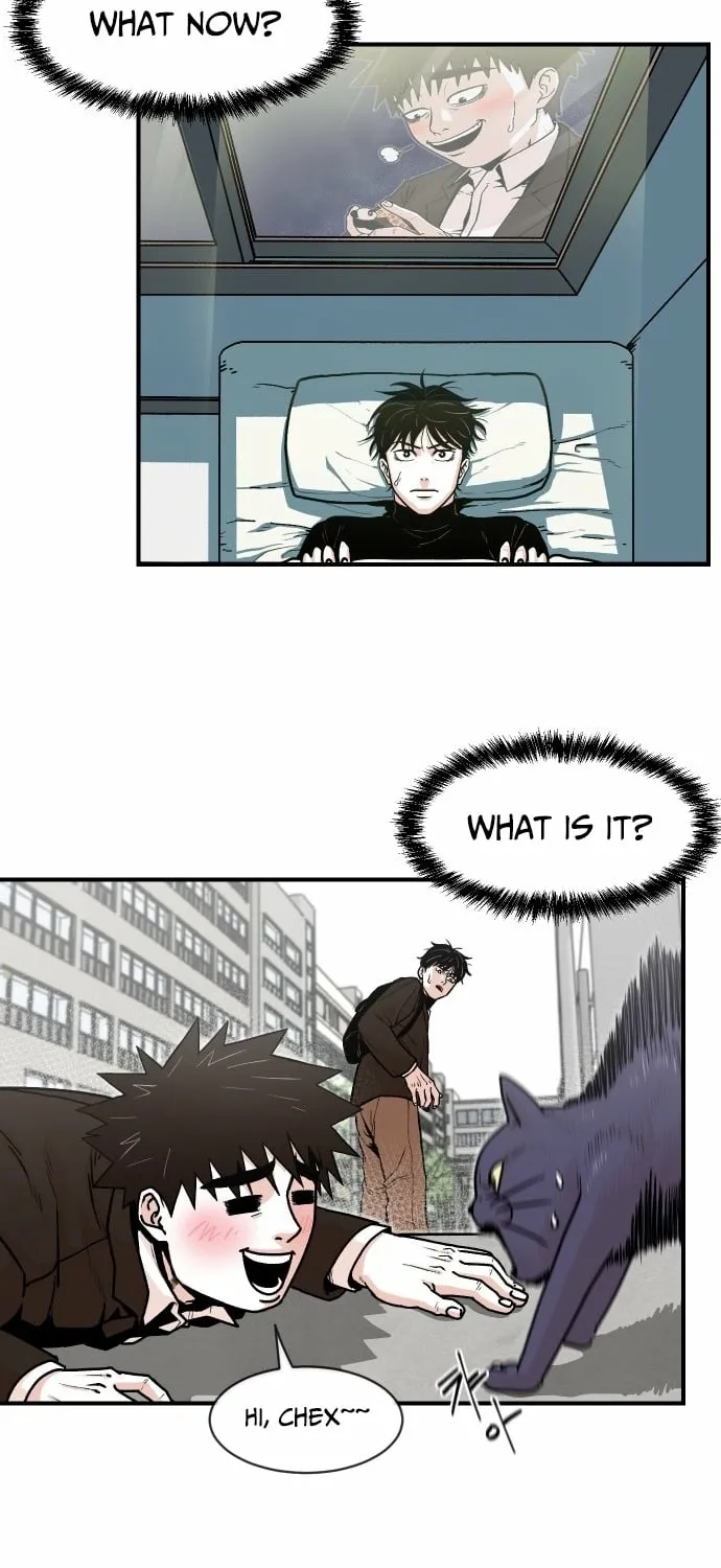 Chapter 2 — page 13