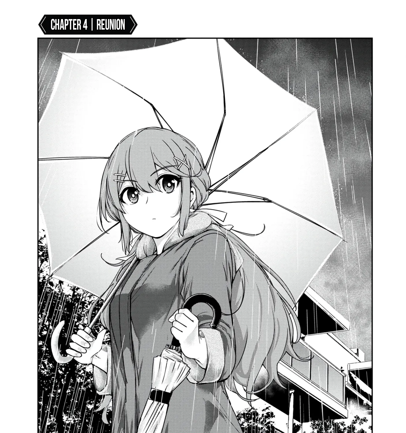 Chapter 4 — page 2