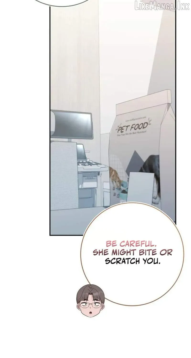 Chapter 27 — page 80