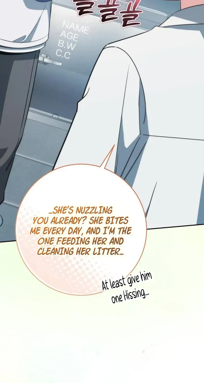 Chapter 15 — page 87