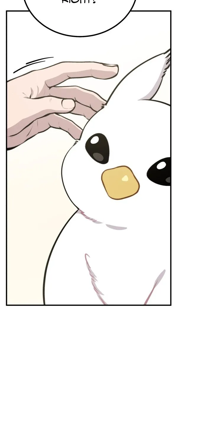 Chapter 1 — page 33