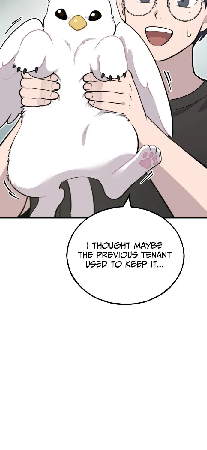 Chapter 1 — page 53