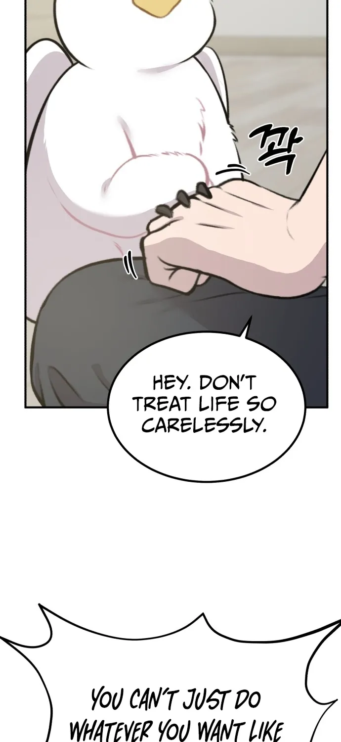 Chapter 1 — page 73