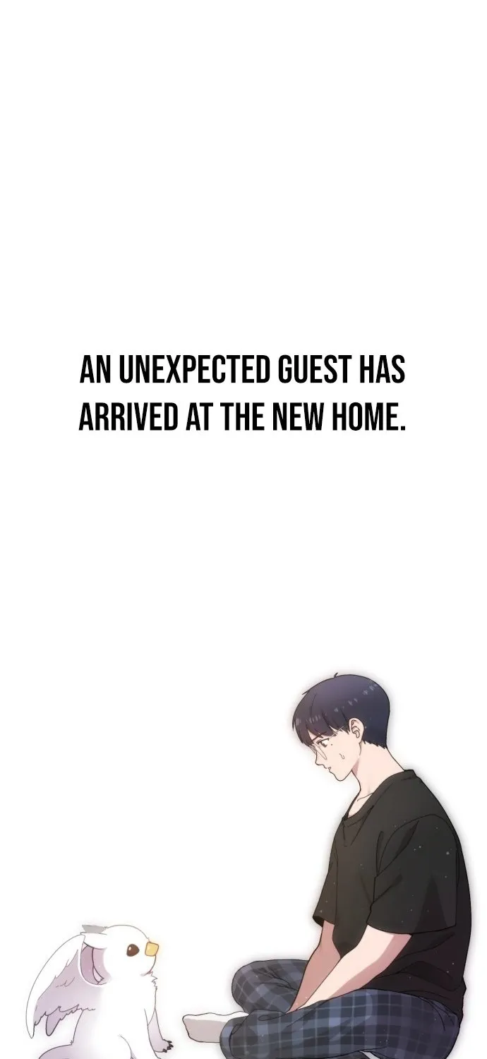 Chapter 1 — page 87