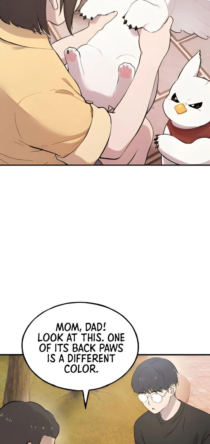Chapter 2 — page 22