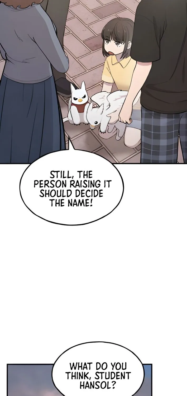 Chapter 2 — page 29