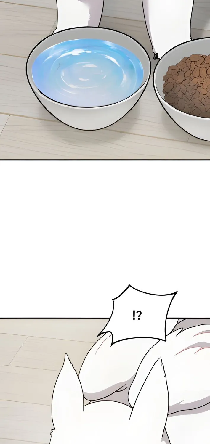 Chapter 2 — page 57