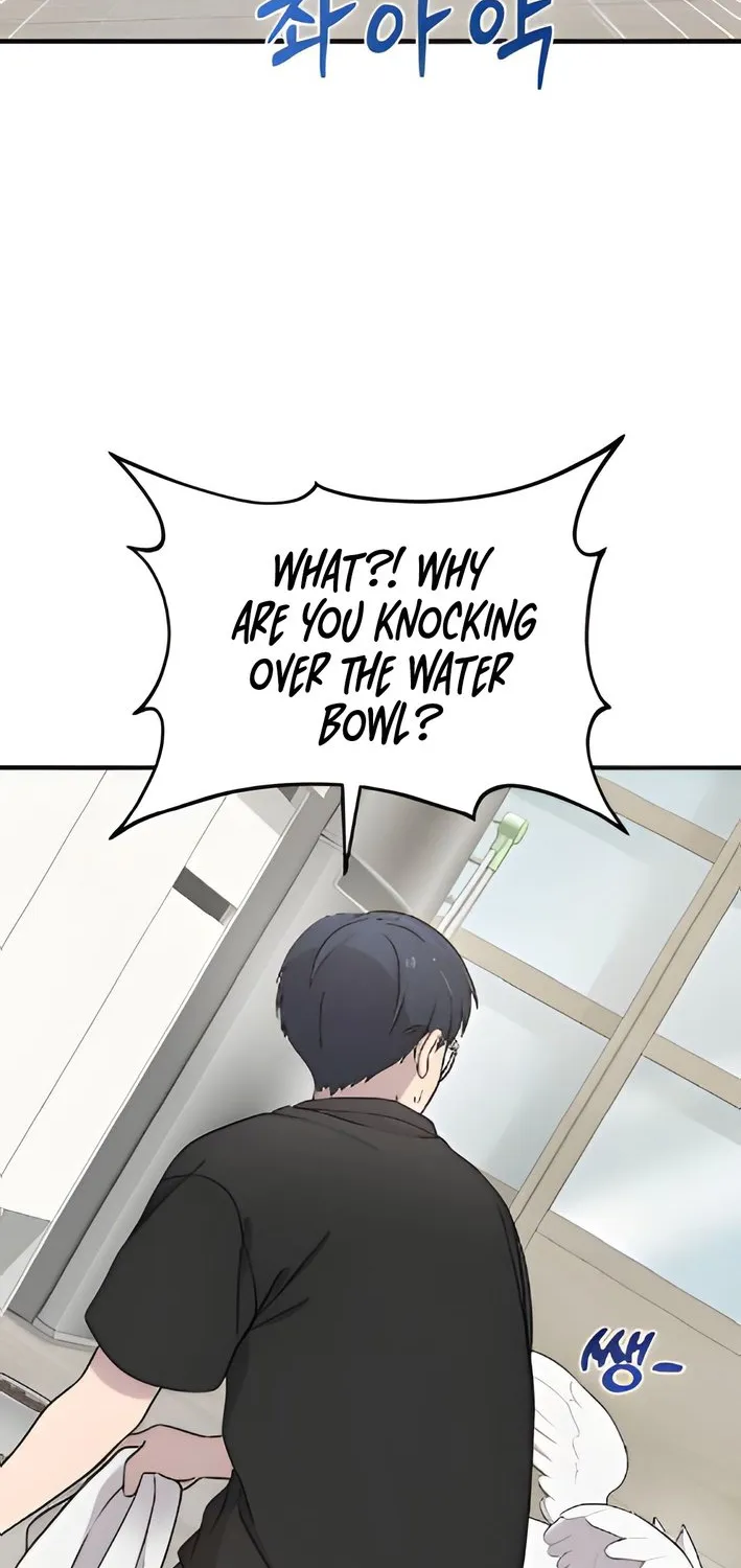 Chapter 2 — page 60