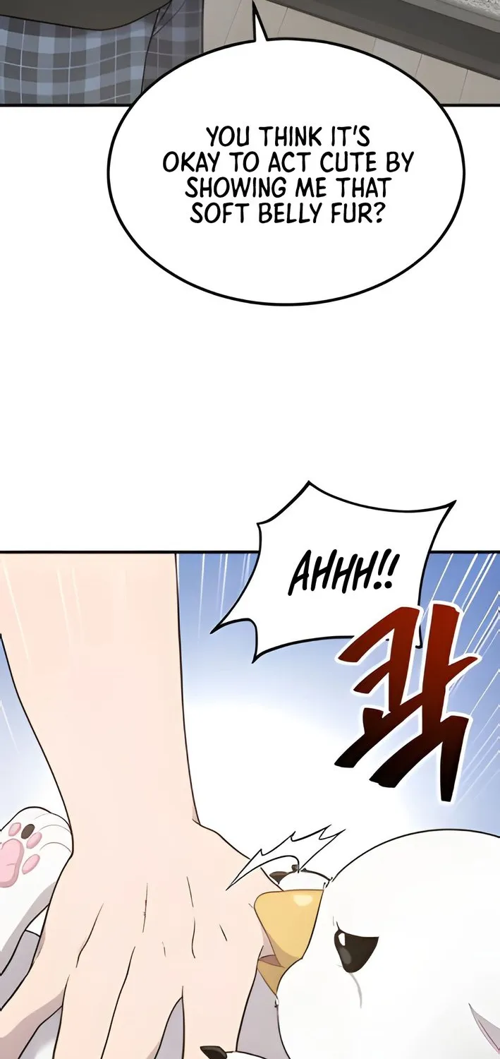 Chapter 2 — page 81