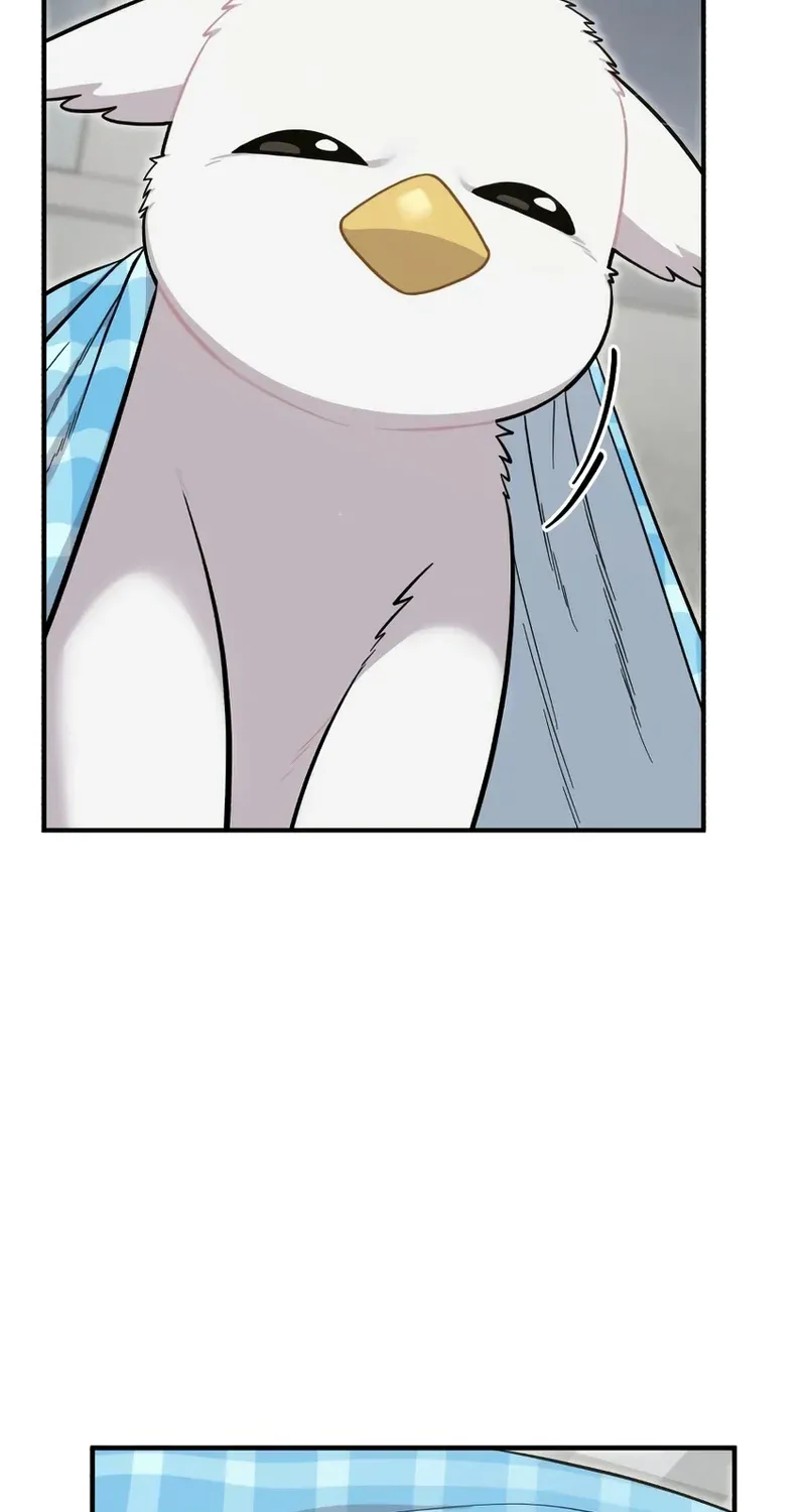 Chapter 11 — page 55