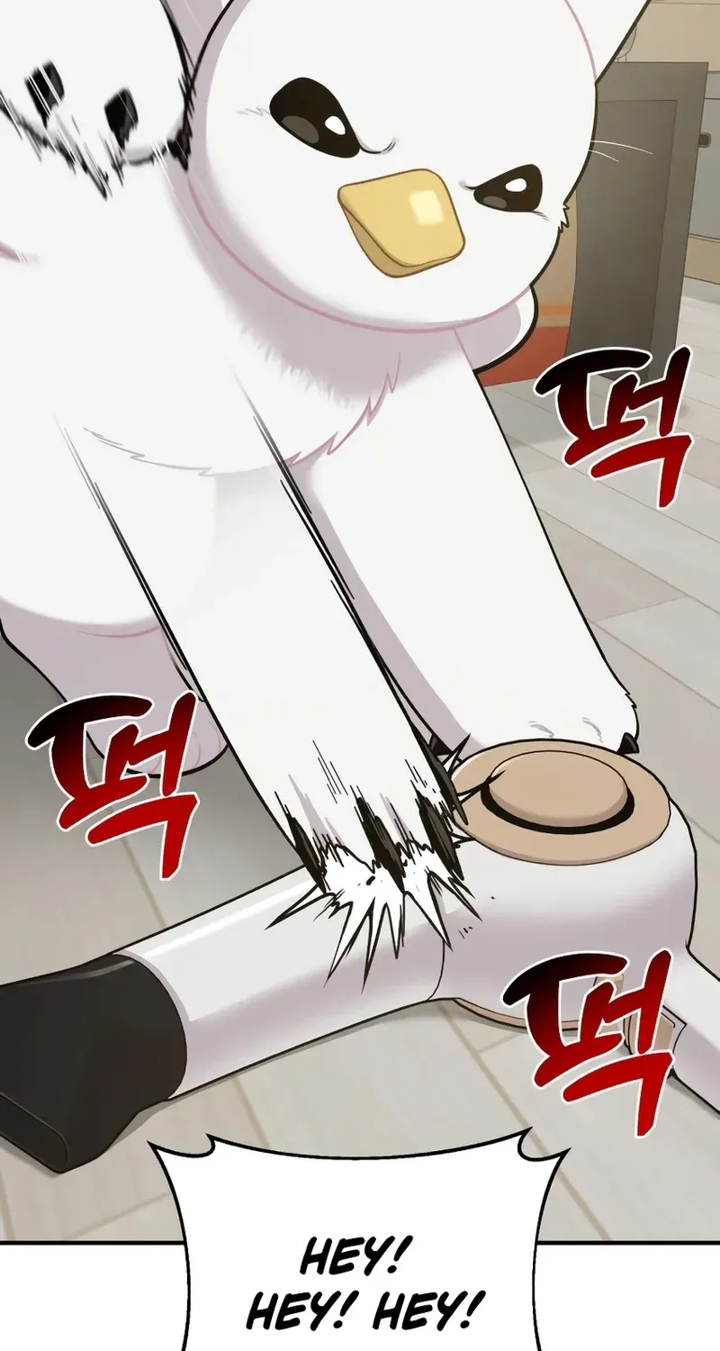 Chapter 11 — page 59