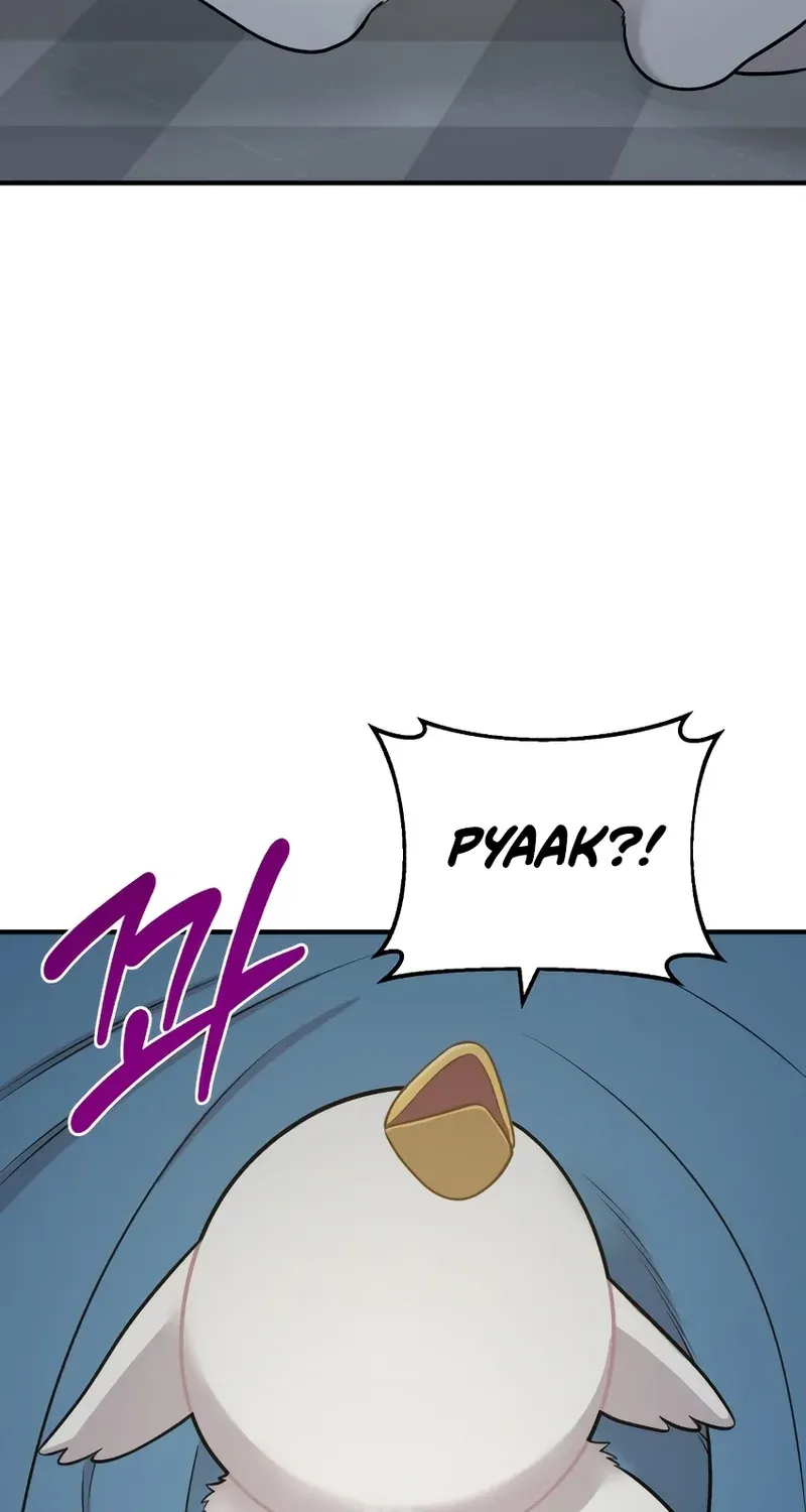 Chapter 11 — page 63