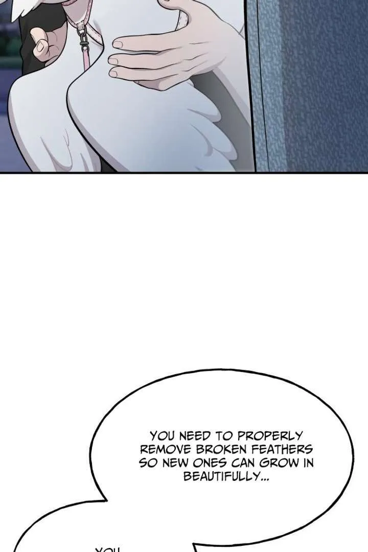 Chapter 13 — page 41
