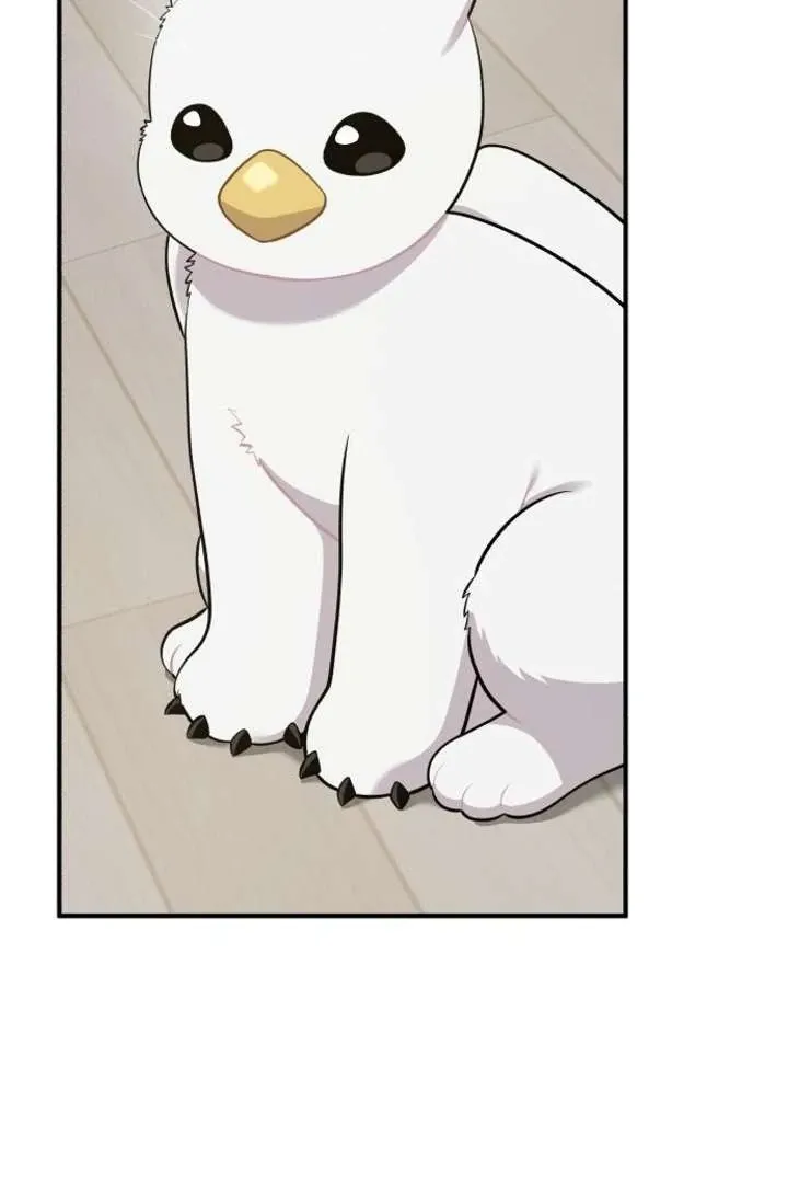 Chapter 13 — page 77