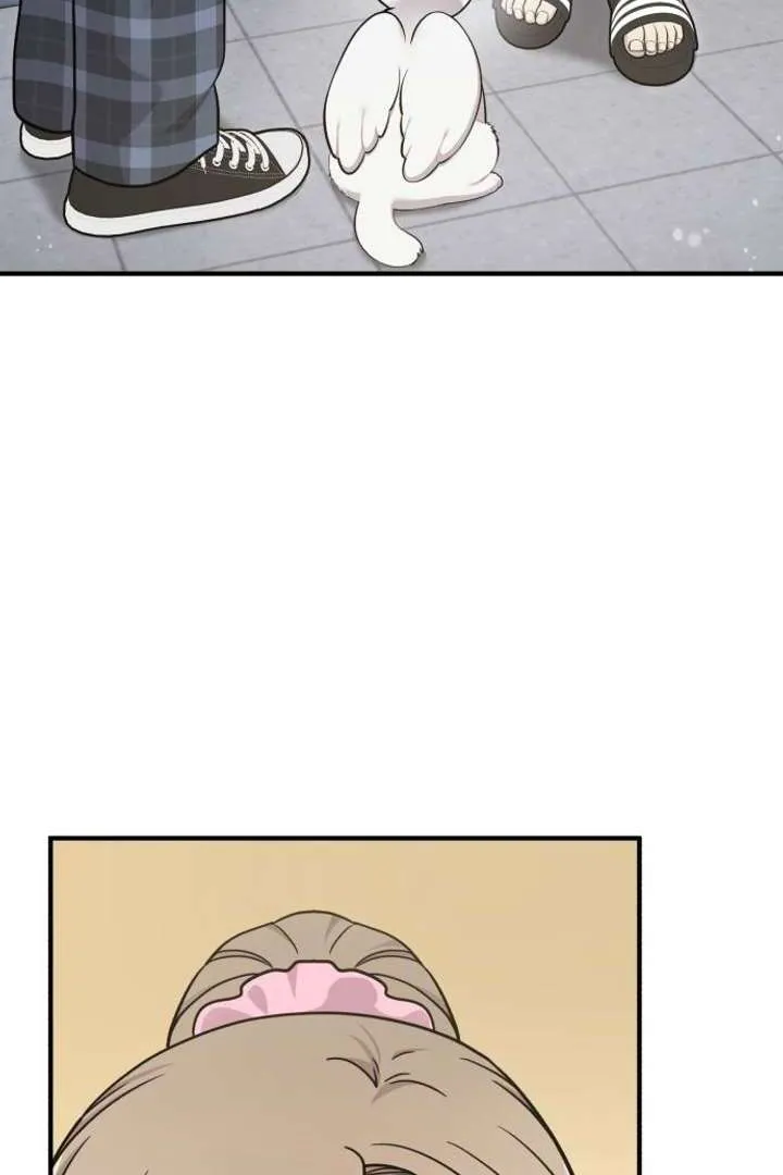 Chapter 15 — page 4