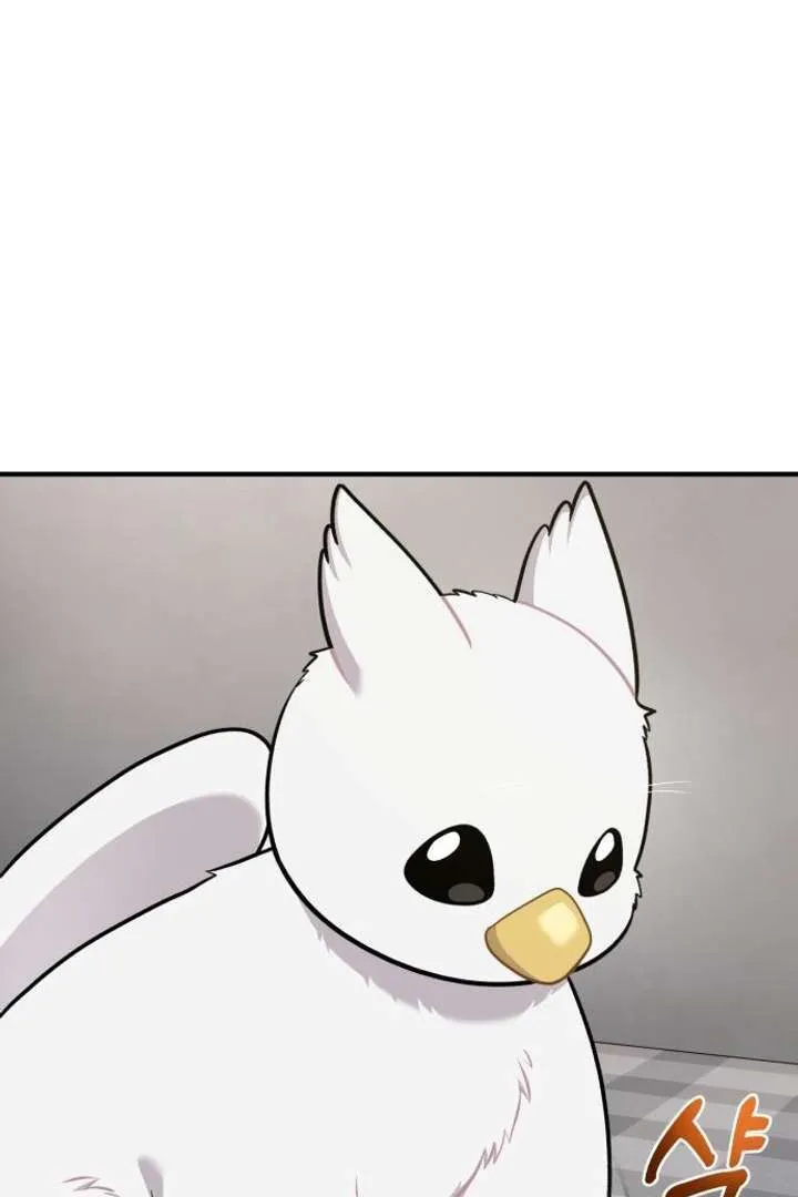 Chapter 15 — page 91
