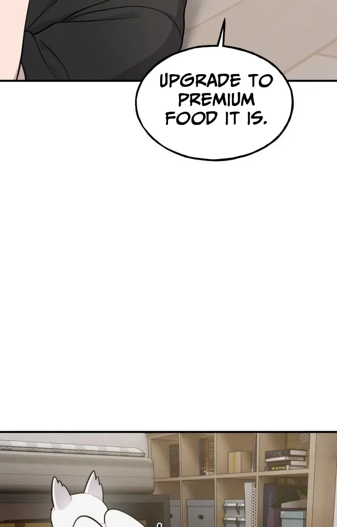 Chapter 17 — page 43