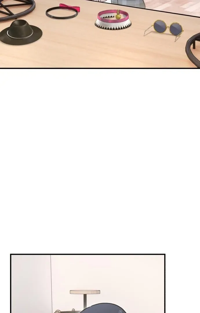 Chapter 17 — page 97