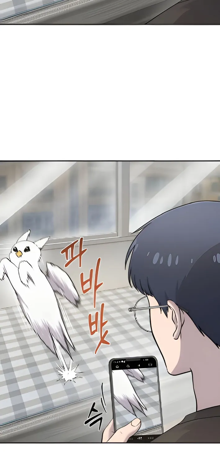 Chapter 3 — page 12
