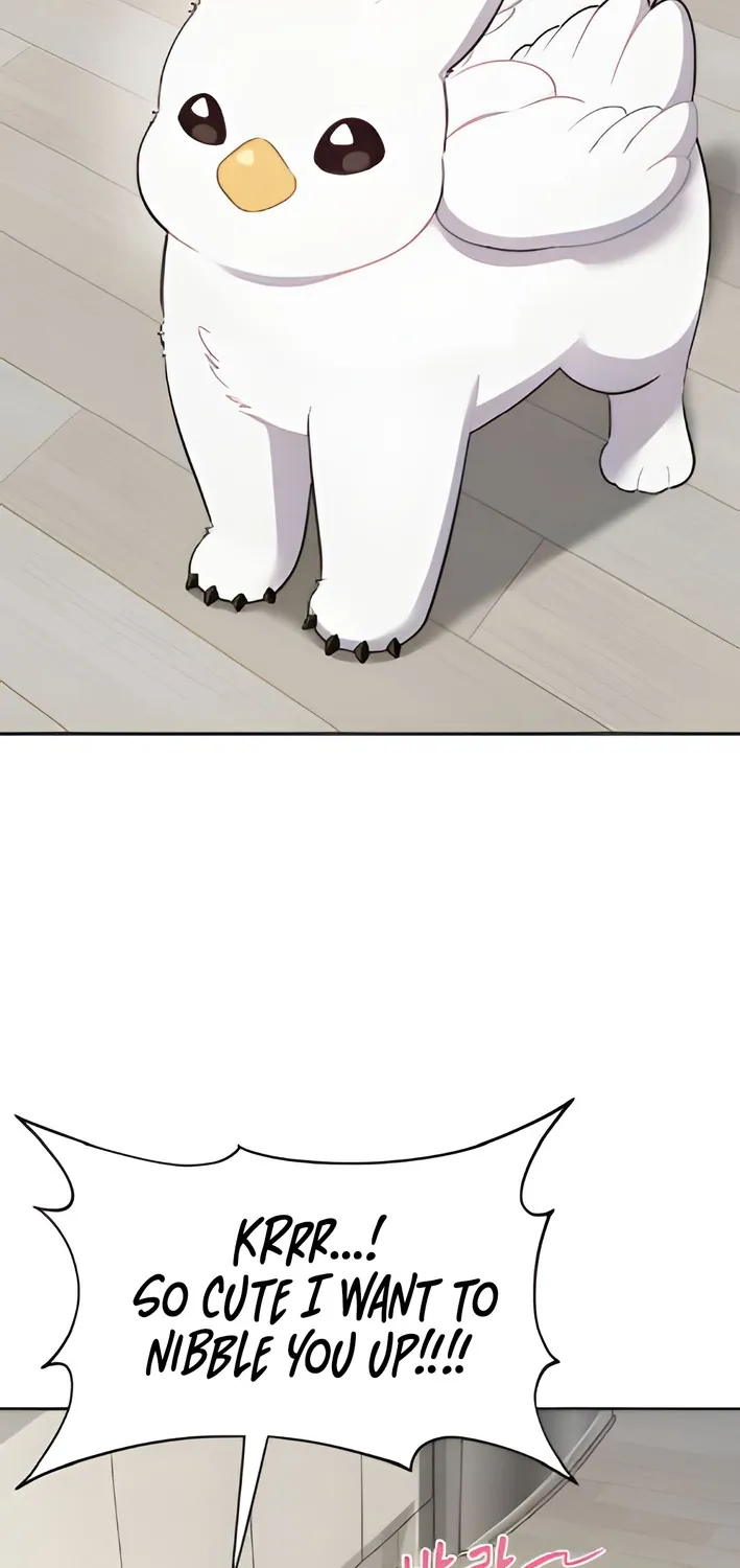 Chapter 3 — page 29