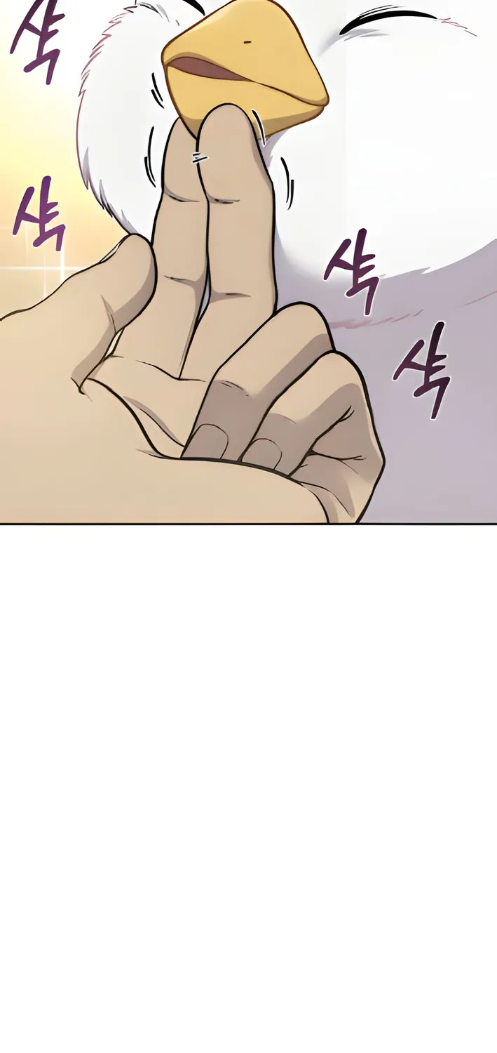 Chapter 3 — page 37