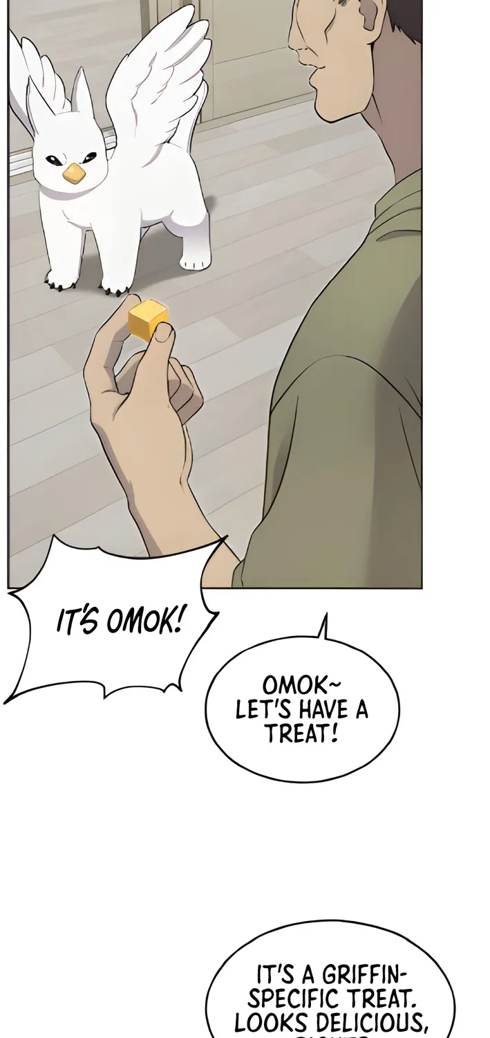 Chapter 3 — page 43