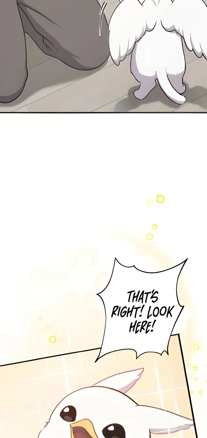 Chapter 3 — page 46