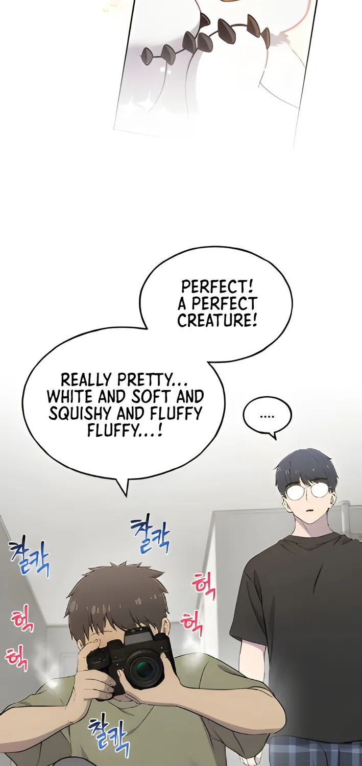 Chapter 3 — page 50