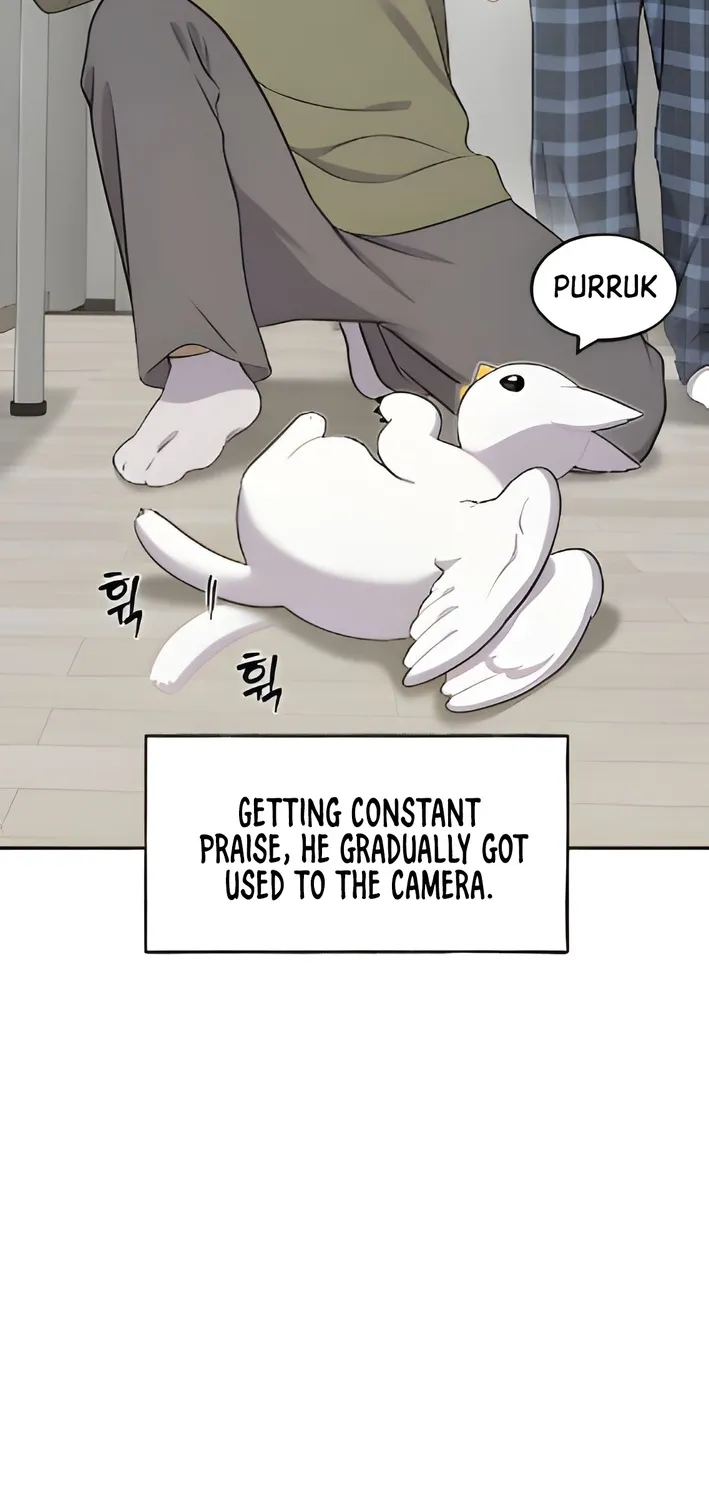 Chapter 3 — page 51