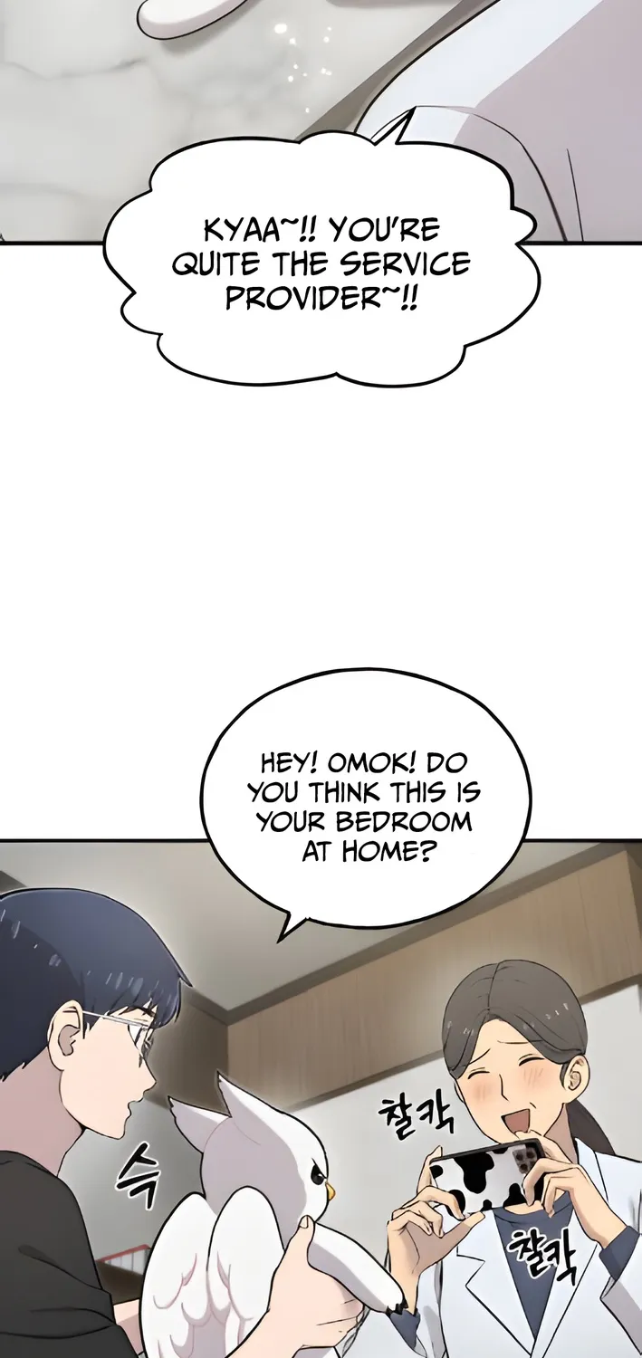Chapter 4 — page 16