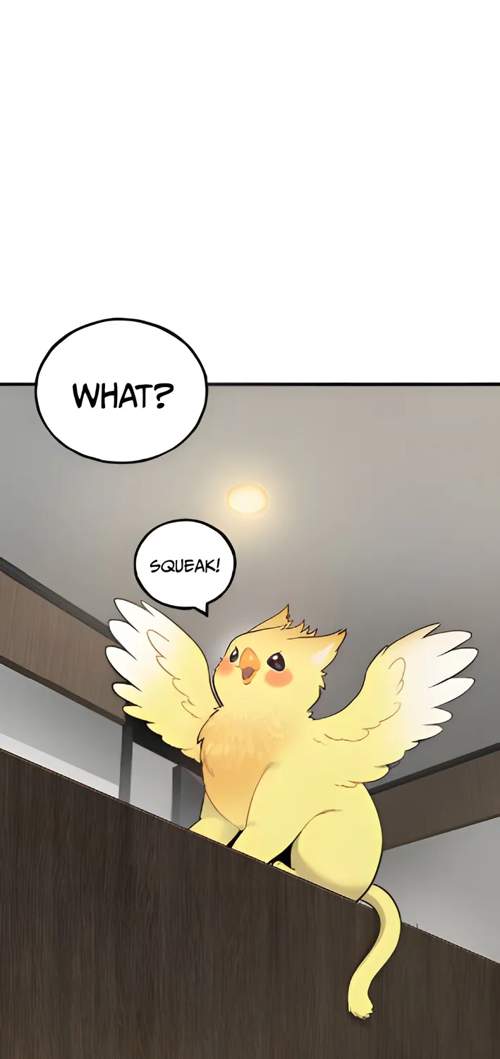 Chapter 4 — page 20