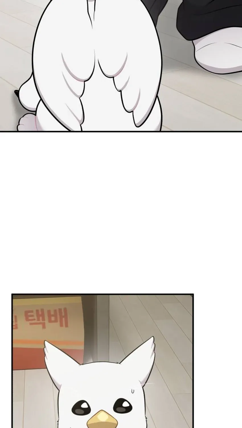 Chapter 31 — page 56