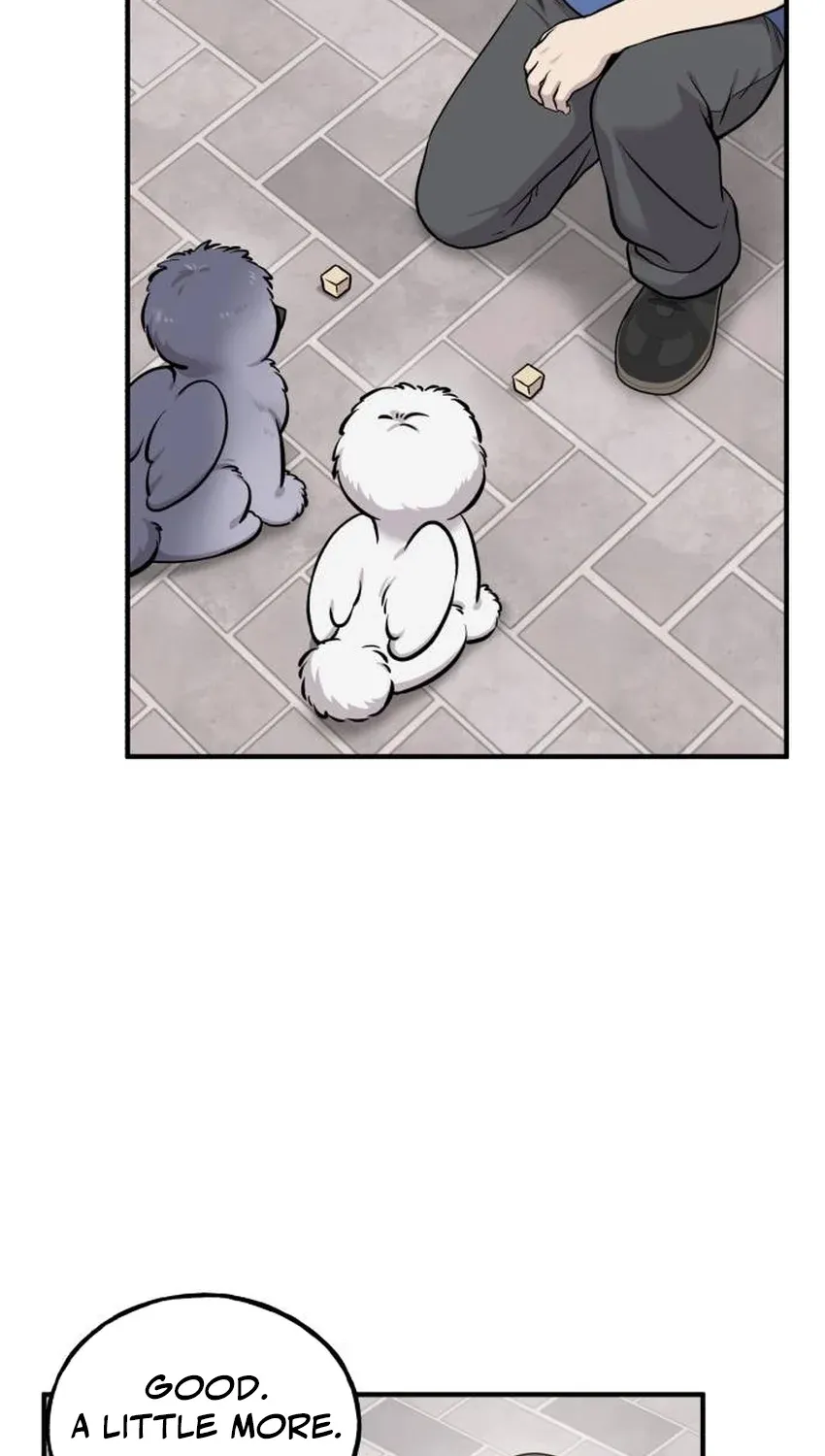 Chapter 33 — page 46