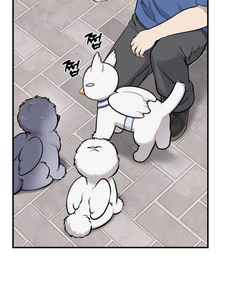 Chapter 33 — page 50