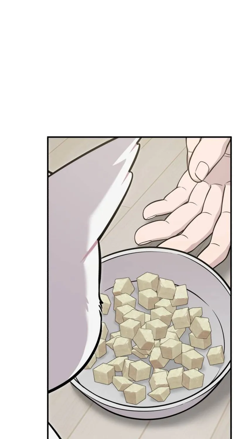 Chapter 34 — page 62