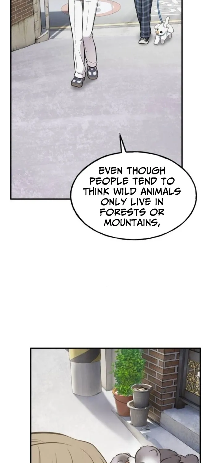 Chapter 37 — page 11