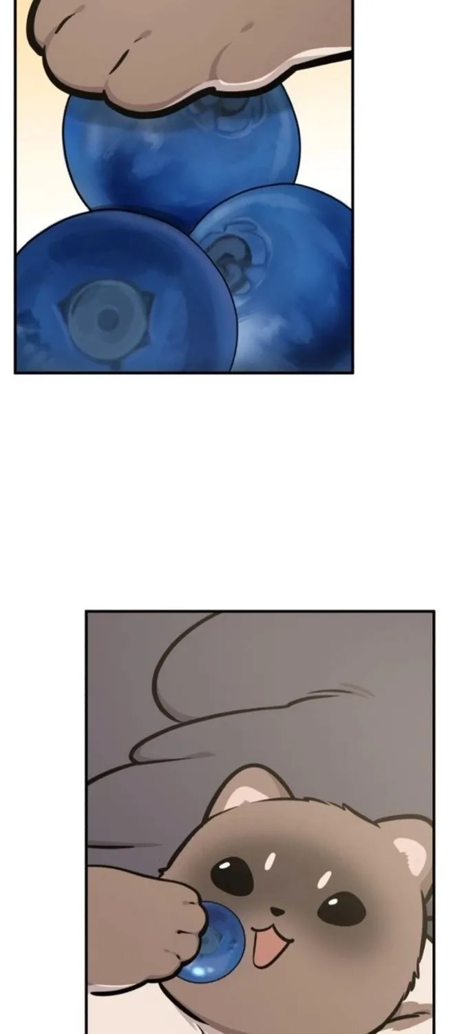 Chapter 38 — page 77