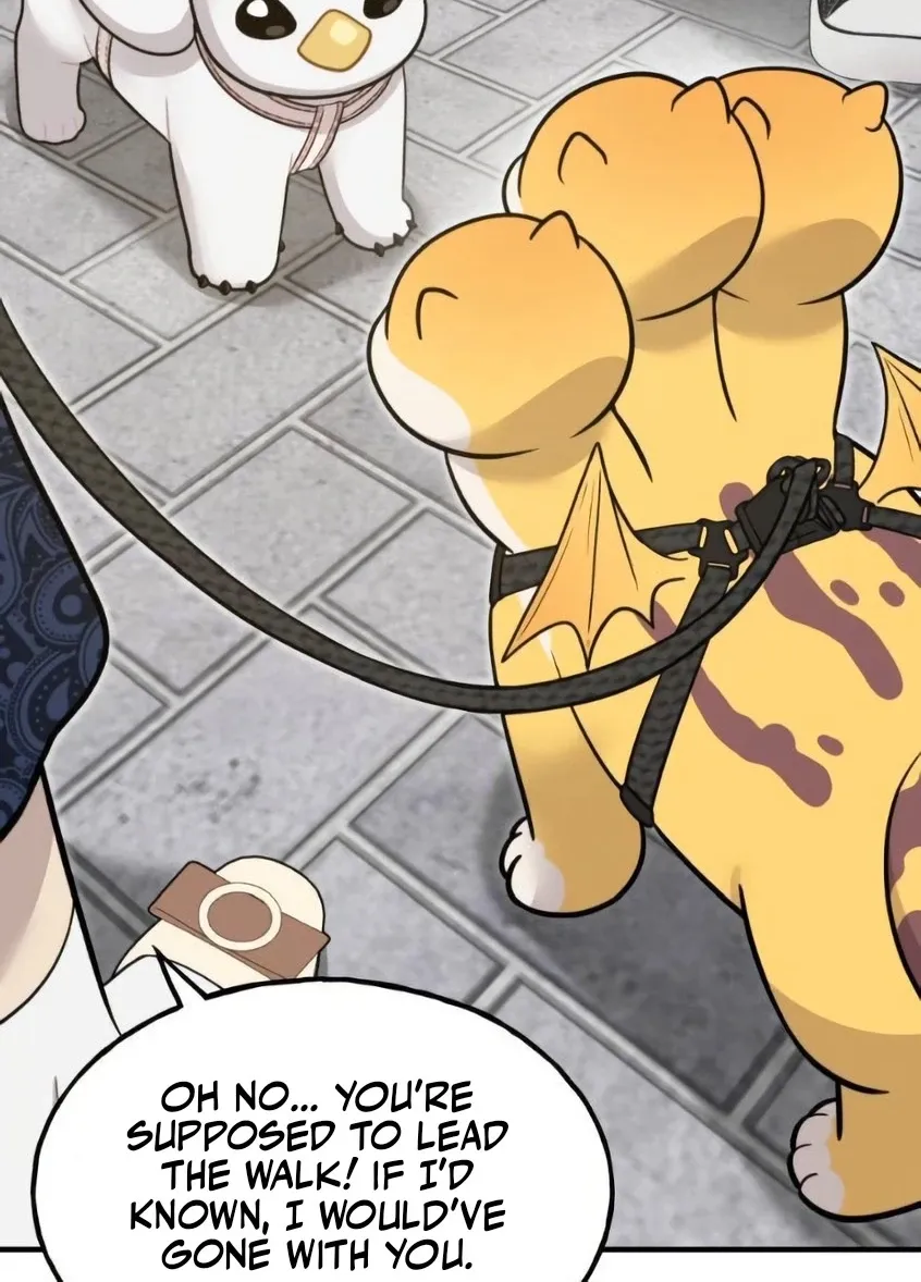 Chapter 6 — page 41