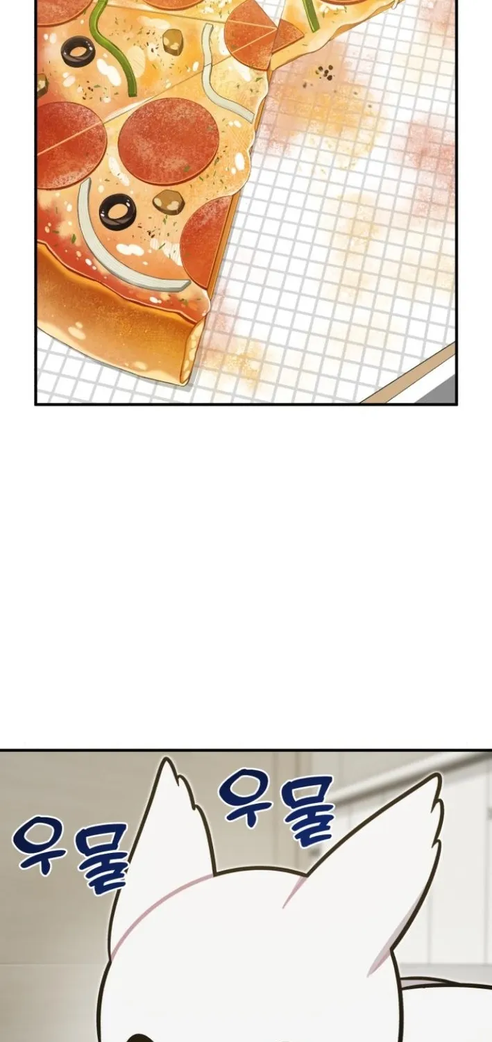 Chapter 8 — page 53
