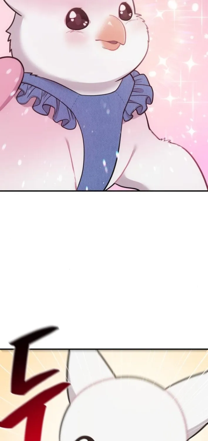 Chapter 8 — page 82