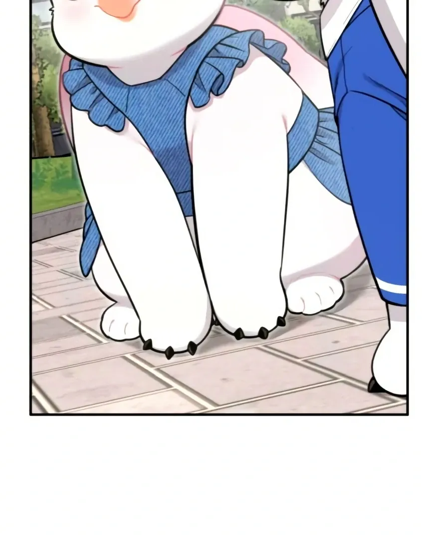Chapter 9 — page 53