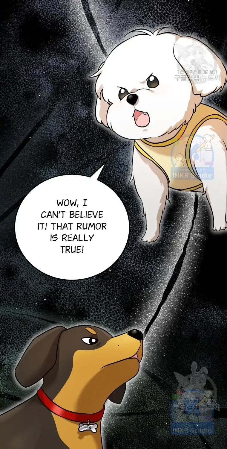 Chapter 1 — page 3