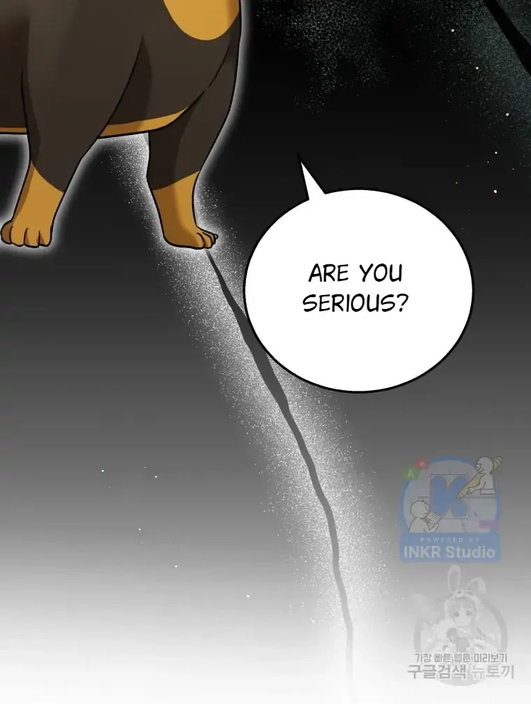 Chapter 1 — page 4