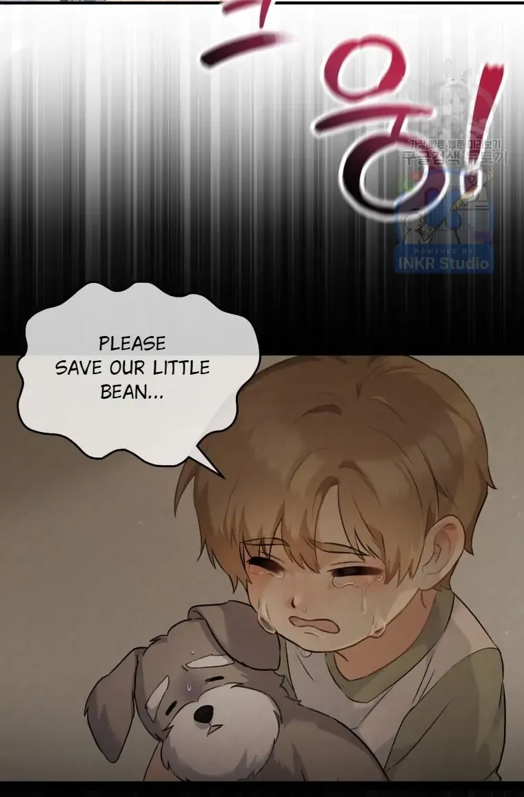 Chapter 1 — page 71