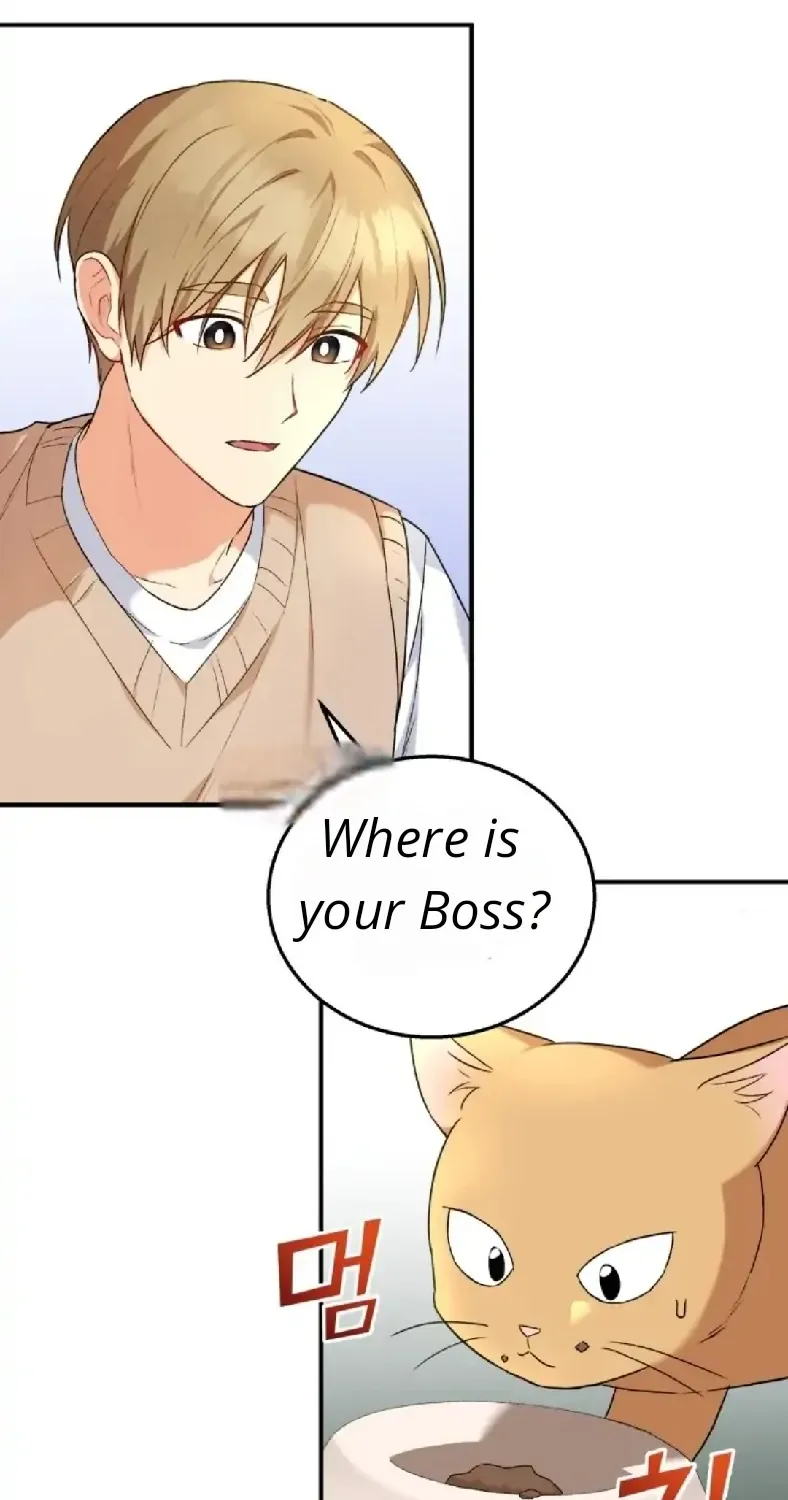 Chapter 13 — page 60